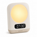 Elowenea™ DawnOrb Clock Light